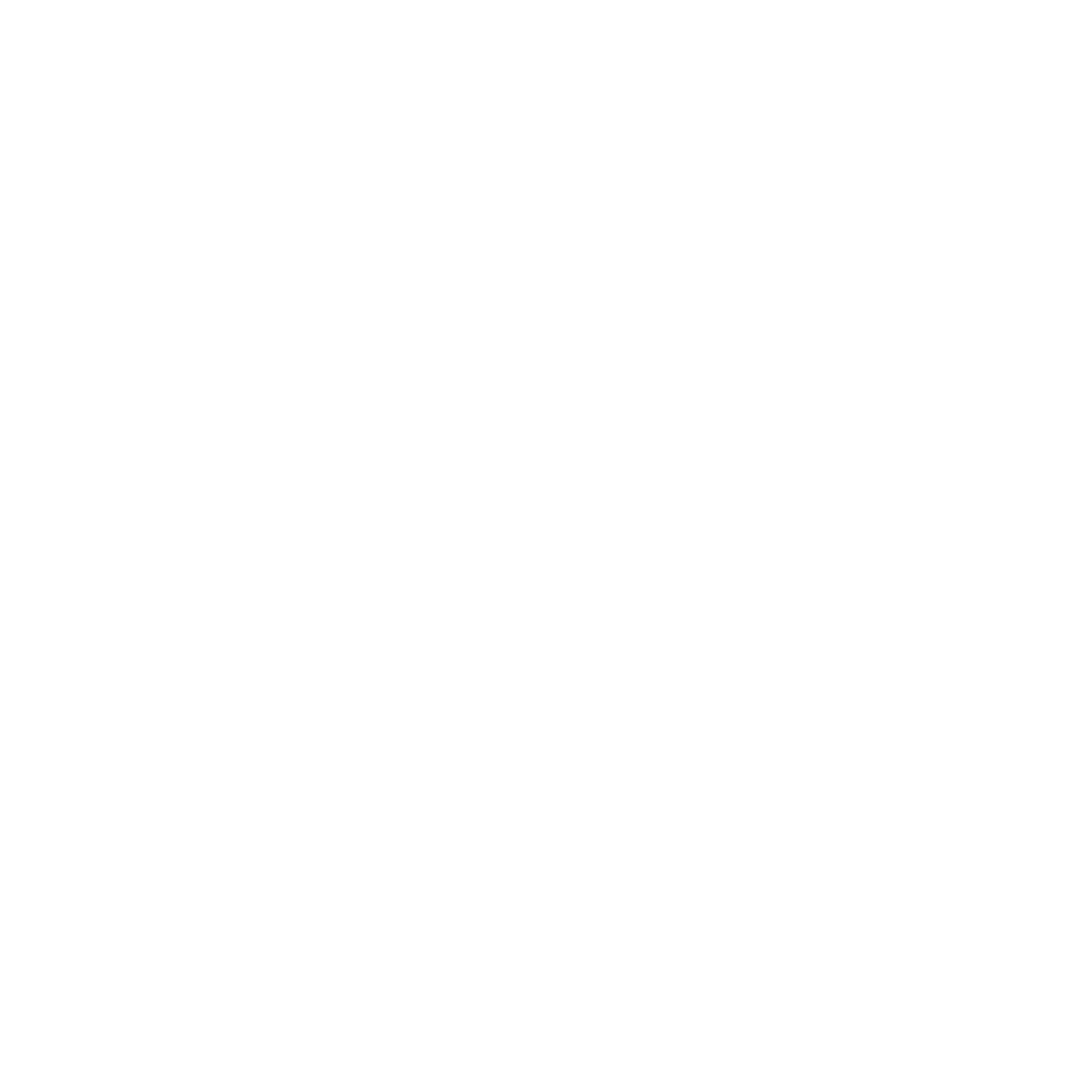 x logo
